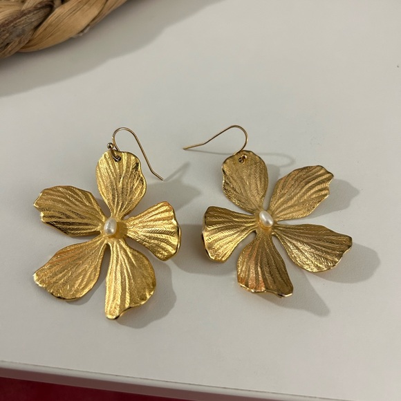 Anthro earnings - Picture 3 of 3